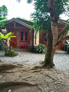 a house with a tree in front of it at Jhony's Backpacker-Guest House only stay here book treking with us in Bukit Lawang