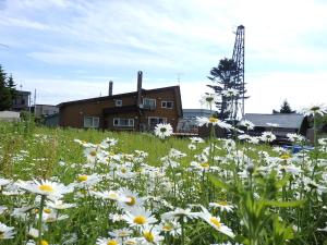 a field of daisies in front of a building at Otaro Village - Vacation STAY 96435v in Otaru
