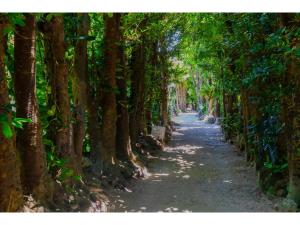 Fotografie z fotogalerie ubytování Ojii no Ie - Vacation STAY 84243 v destinaci Bise