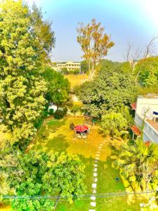 Κήπος έξω από το Grand Villa