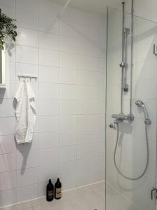 Koupelna v ubytování Videsten Old Town Studio