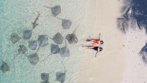an aerial view of a person on a beach with turtles at Athens View in Guraidhoo +145 photos