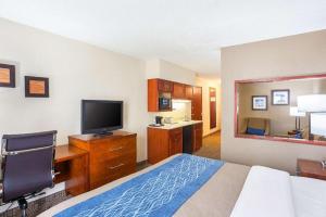 a hotel room with a bed and a desk with a television at Comfort Inn Lincoln I-80 in Arbor