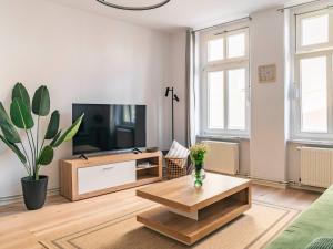 a living room with a tv and a coffee table at Maximi Apartments by Rosini - gegenüber Dom & nahe Schloss Merseburg, ideal für Geschäftsreisende, Familien & Longstay in Merseburg