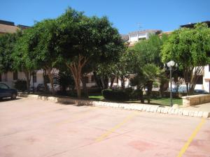 マリーナ・ディ・ラグーザにあるCasa Vacanze Paguroの木と街灯の駐車場