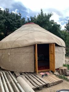 Gallery image of MAANAY Guest House in Tuura-Suu