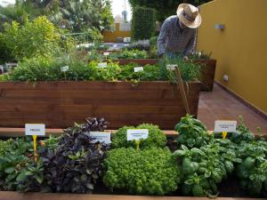 a person in a hat standing in a garden at The Cookbook Gastro Boutique Hotel & SPA in Calpe