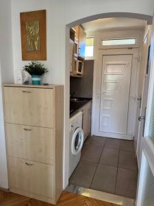 Η κουζίνα ή μικρή κουζίνα στο Balaton Vibe Apartman