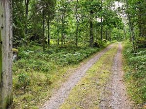 a dirt road in the middle of a forest at 4 person holiday home in Furuby in Furuby