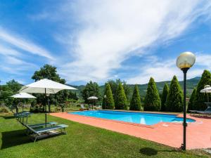 an image of a swimming pool at a house at Farmhouse in Tuscany with Panoramic Pool in Castiglion Fiorentino +32 photos