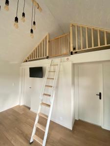 a loft bed in a room with a ladder at Chalet Cosy neuf sur terrain privé clôturé 600m2 in Faverges