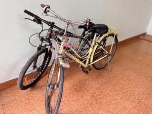 Jízda na kole v ubytování MAY HOMESTAY phố cổ NINH BÌNH nebo okolí