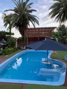 ein blauer Swimmingpool mit Sonnenschirm und Palmen in der Unterkunft South Shore - Vacation STAY 89347 in Kannoura