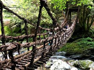Eine Hängebrücke in einem Wald mit Menschen darauf in der Unterkunft Nouka Minsyuku Nakajima - Vacation STAY 99829 in Mima + 24 Fotos