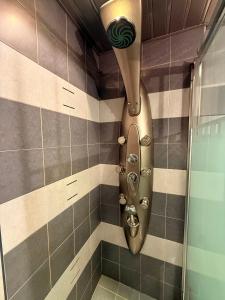 a bathroom with a shower with a shower head at Apart Burel 56 in Sofia