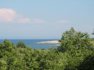 Príroda v okolí apartmánu