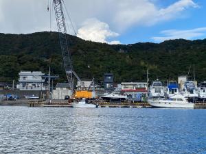 a group of boats are docked in a harbor at Marina and Numazu sweet 1F - Vacation STAY 16710v in Numazu