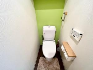 a bathroom with a white toilet in a green wall at Hamamoto Palace Taniyama - Vacation STAY 11966 in Kagoshima