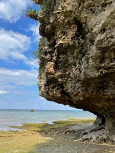 a large rock on a beach with the ocean at DaigeBlue - Vacation STAY 20513v in Meta +9 photos