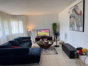 TV a/nebo společenská místnost v ubytování Charmant T2 Lumineux Spacieux Vieux Cocody Centre