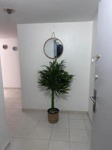 a bathroom with a mirror and a potted plant at Charmant T2 Lumineux Spacieux Vieux Cocody Centre in Abidjan