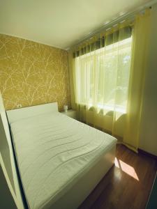 a bed in a room with a window at Cosy Studio in Tartu Center in Tartu