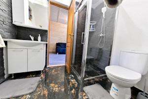 a bathroom with a shower and a toilet and a sink at A-frame Frumusica in Păltiniş +10 photos