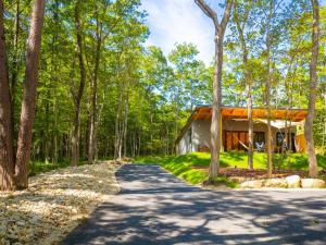 Příroda nedaleko prázdninového domu