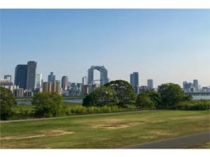 Naturlandskabet i nærheden af feriehuset