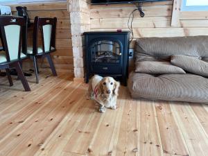 Fotografie z fotogalerie ubytování Biwako Hills Resort - Vacation STAY 99556v v destinaci Takashima