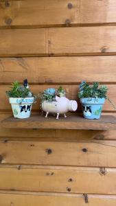 Fotografie z fotogalerie ubytování Biwako Hills Resort - Vacation STAY 99556v v destinaci Takashima