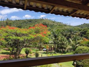 a view from the balcony of a resort with trees and red flowers at Pousada Toledo in Cunha +62 photos