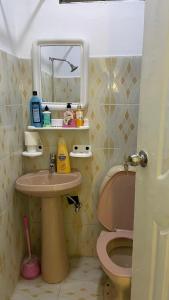 カラチにあるLuxury studio in Dha phase 6のバスルーム(ピンクのトイレ、シンク付)