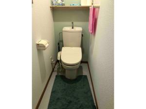 a small bathroom with a toilet with a green rug at Guest House Hagoromo 39 - Vacation STAY 12003v in Kiyosato +19 photos
