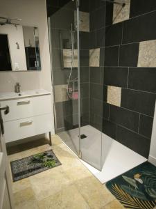Un baño con ducha de cristal y lavabo. en chez jacques et cricri, en Monthodon