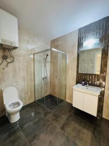 a bathroom with a shower and a toilet and a sink at Royal Sun Elite Daire in Aglantzia