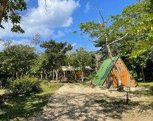 Fotografie z fotogalerie ubytování RAINBOW FOREST Permaculture filed - Vacation STAY 13693v v destinaci Ibaruma + 14 fotografií