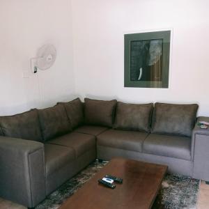 Fotografie z fotogalerie ubytování Gorgeous Gecko Guesthouse v destinaci Modimolle