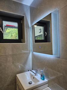 ein Badezimmer mit Waschbecken und Spiegel in der Unterkunft Vila veverita in Schitu-Tarcău + 27 Fotos