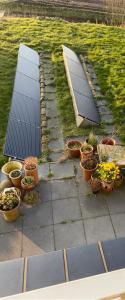 een terras met diverse zonnepanelen en potplanten bij Oomes Huus - Sleep by Hästens, Wake with Coffee in Den Hoorn