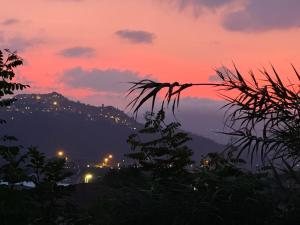 Foto dalla galleria di Villetta Tora a Santo Stefano di Magra