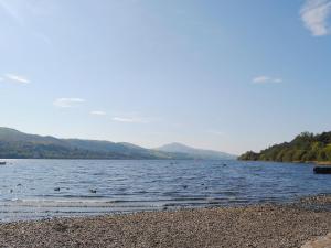 a lake with a bunch of birds in the water at Apartment Two - Uk49592 in Bala