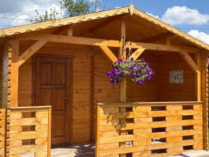 a wooden shed with a flower basket in front of it at Casa Fericirii in Cârțișoara
