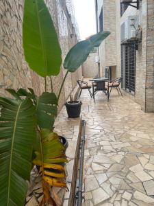a plant in a pot on a patio at OSIF Chic City Retreat in Yaoundé