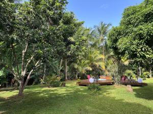 a park with benches in the grass with trees at Le Figuier De Barbarie in Sainte-Rose