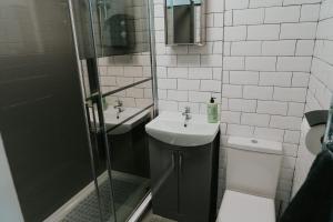 a bathroom with a sink and a shower and a toilet at Newquay Holiday Home in Newquay +27 photos