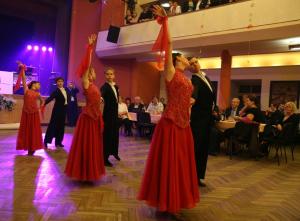 Majutusasutuse Hotel Tynec külastajad