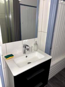 a bathroom with a white sink and a mirror at Le cocon des volcans in Châtel-Guyon +9 photos