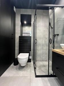 un bagno con wc e doccia in vetro di Property Apart - Work & Stay Suites a Breslavia