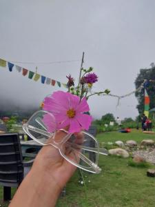 Κήπος έξω από το Safarnama Homestay & Camping Service